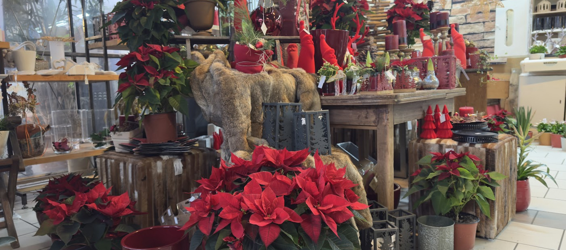 Festliche Inspirationen: Entdecken Sie unsere neuen Weihnachtsdekorationen und Gestecke!